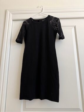 Aqua Black Lace Sleeve Mini Dress